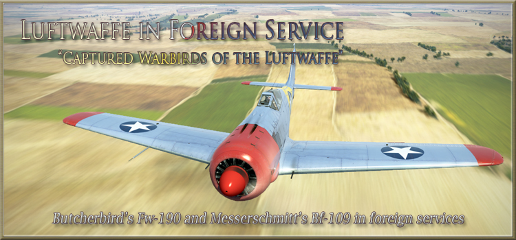 Luftwaffe in Foreign Service